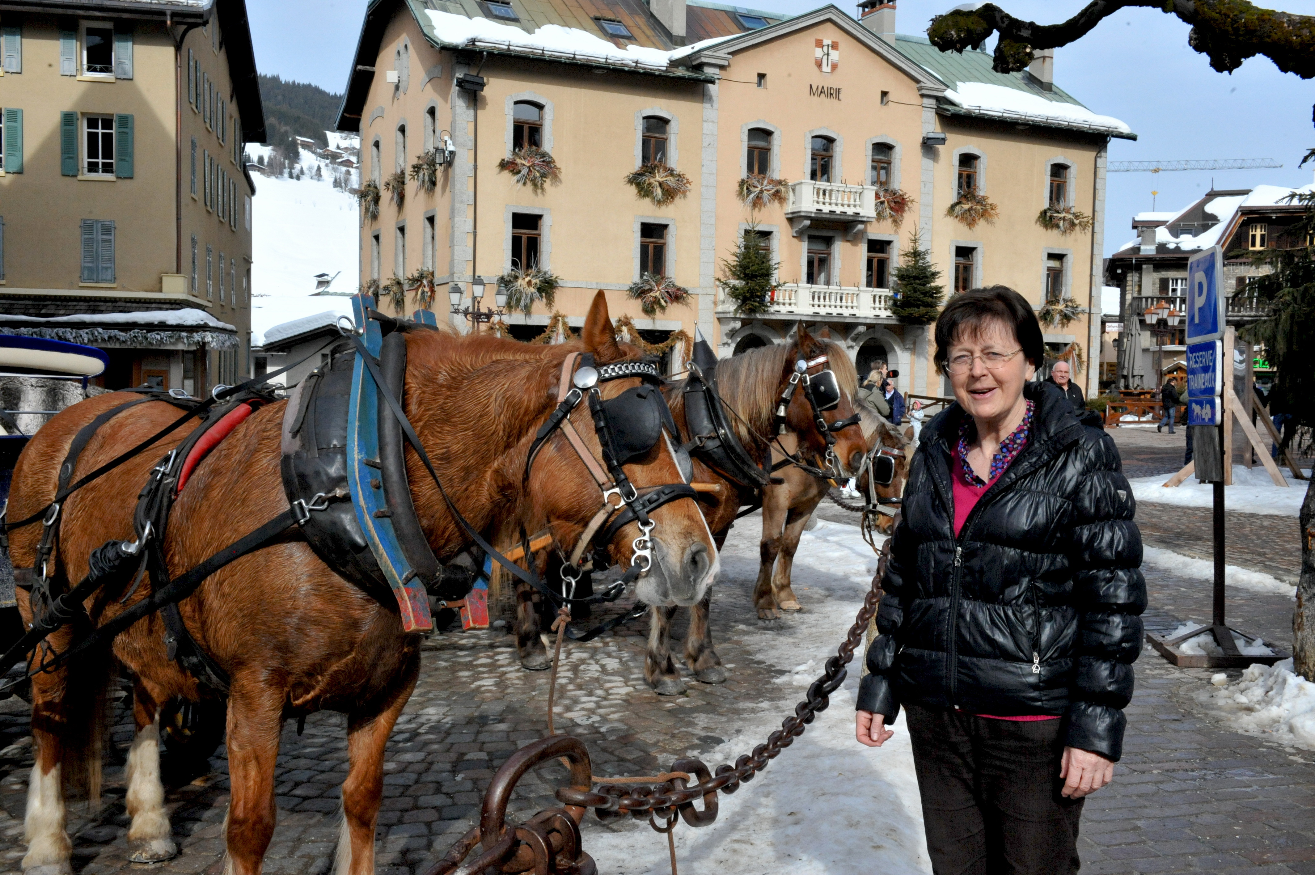 Sylviane Grosset-Janin : « Il faut construire notre futur et relever nos manches ! »