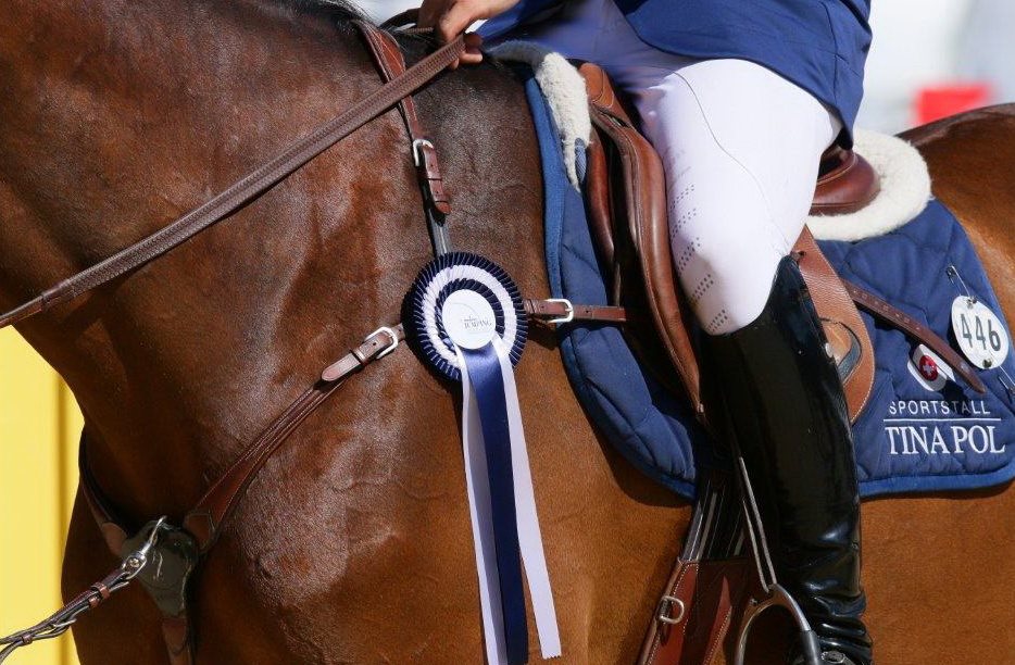 Benjamin Castaldi, vedette du Jumping international de Megève 2015