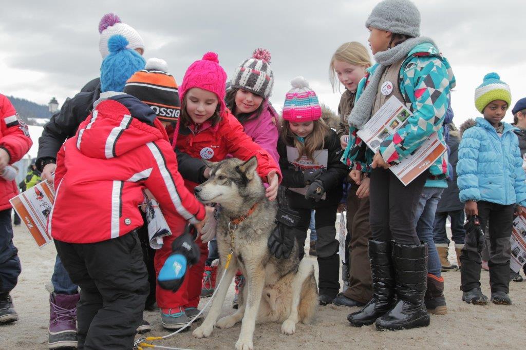 Grande Odyssée à Megève. Un temps de chien pour l’édition 2017