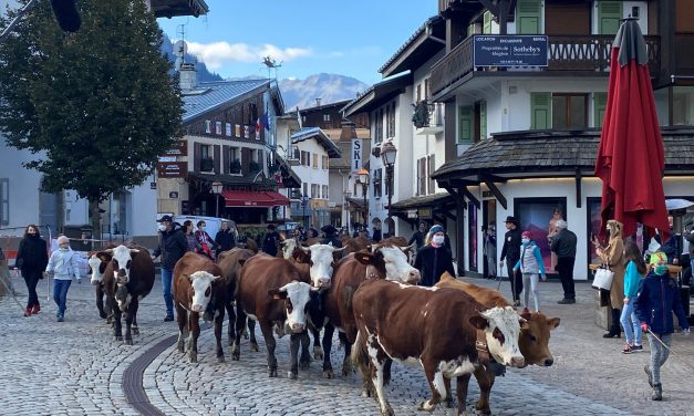 Toquicimes Megève 2020. La cuisine de montagne au sommet de son art