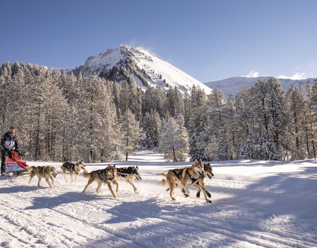 Megève. On s’en ira courir dans le paradis blanc